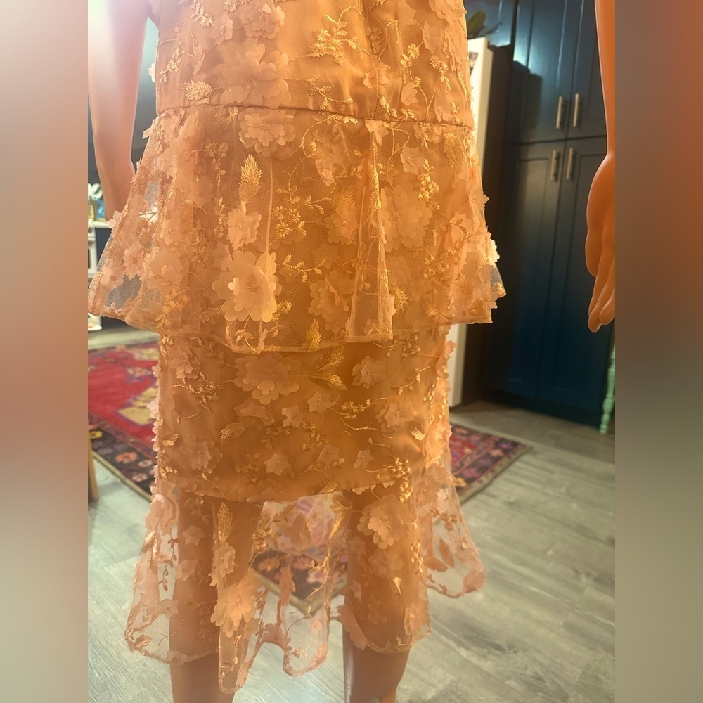 ASOS light pink/nude dainty flower cut out sheer dress sz 4 - NWT - Picture 11 of 16